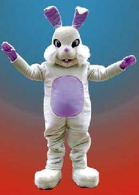 Rabbit Costume