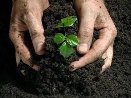 bio fertilizer supplier in gujrat