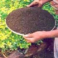 organic bio fertilizers