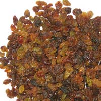 Malayar Raisins