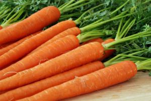 Fresh Carrot