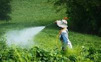 Chemical Pesticides