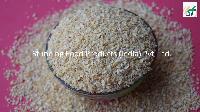 Dehydrated Garlic Granule (8-20 Mesh)