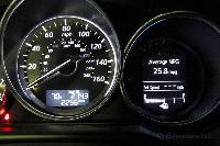 Fuel Gauges