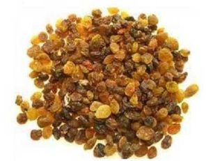 Aditya - Raisin Mix Variety