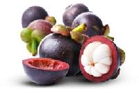 Mangosteen