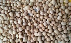 whole pigeon peas