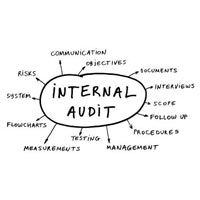 Audit Services