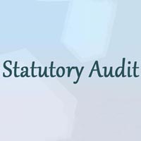 statutory audit services