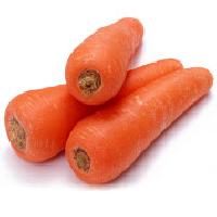 Fresh Carrot