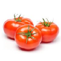 Fresh Tomato