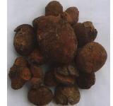 Ox Gallstones