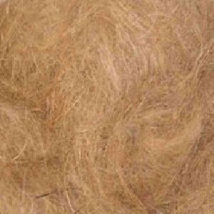 Coir Fibre