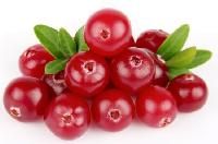 cranberry benefits