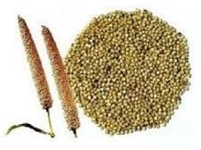 Millet Seeds