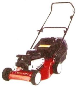 Lawn Mower (Petrol)