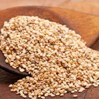 Sesame Seeds