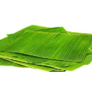 Fresh Banana Leaf