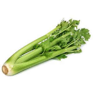 Fresh Celery