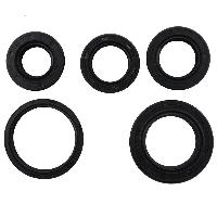 oil seal kits