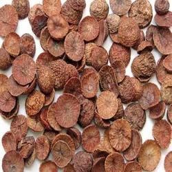 Dry Areca Nut