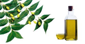 Neem Oil