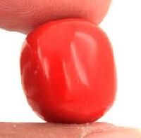 Red Coral Gemstone