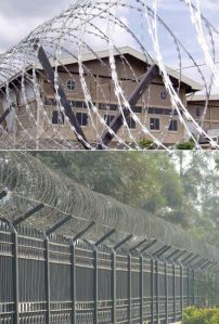 Concertina Wire