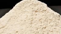 Psyllium