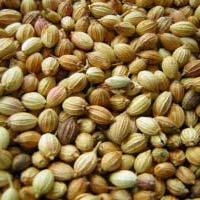 Coriander Seeds