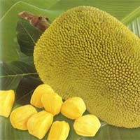 Jack Fruit