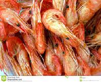 srimps