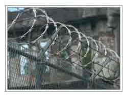 Barbed Razor Wire