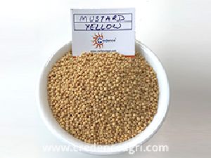 Mustard Seeds