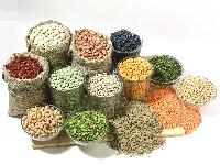 grains pulses