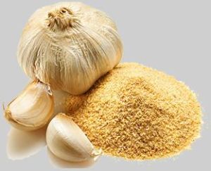 Garlic Powder- Allium Sativum Lasuna Lehsun