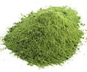 Stevia Powder- Stevia Rebaudiana Sweet Leaf