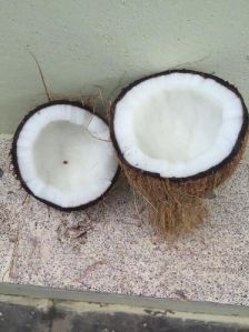 Semi Husk Coconut