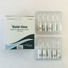 Bold-One(boldenone undecylenate)