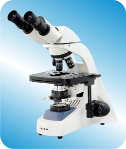 Compound Microscope