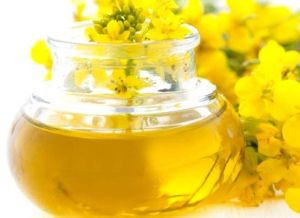 Mustard Flower Honey