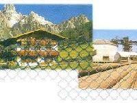 Chain Link Fence 006