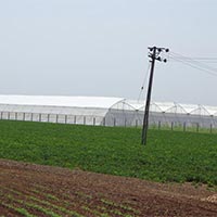 Naturally Ventilated Greenhouse