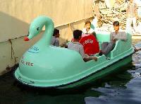 Pedal Boat