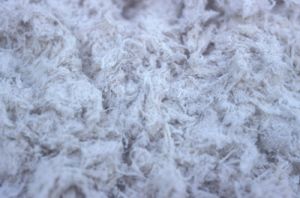 Asbestos Fiber