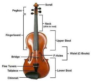 Violin