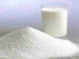 Milk Powder