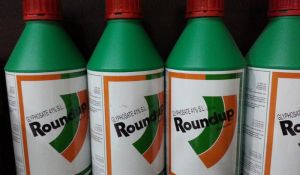 Glyphosate Pesticide