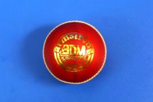 Cricket Ball BDM Armstrong