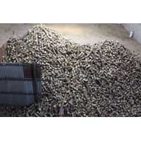 Biomass Briquette